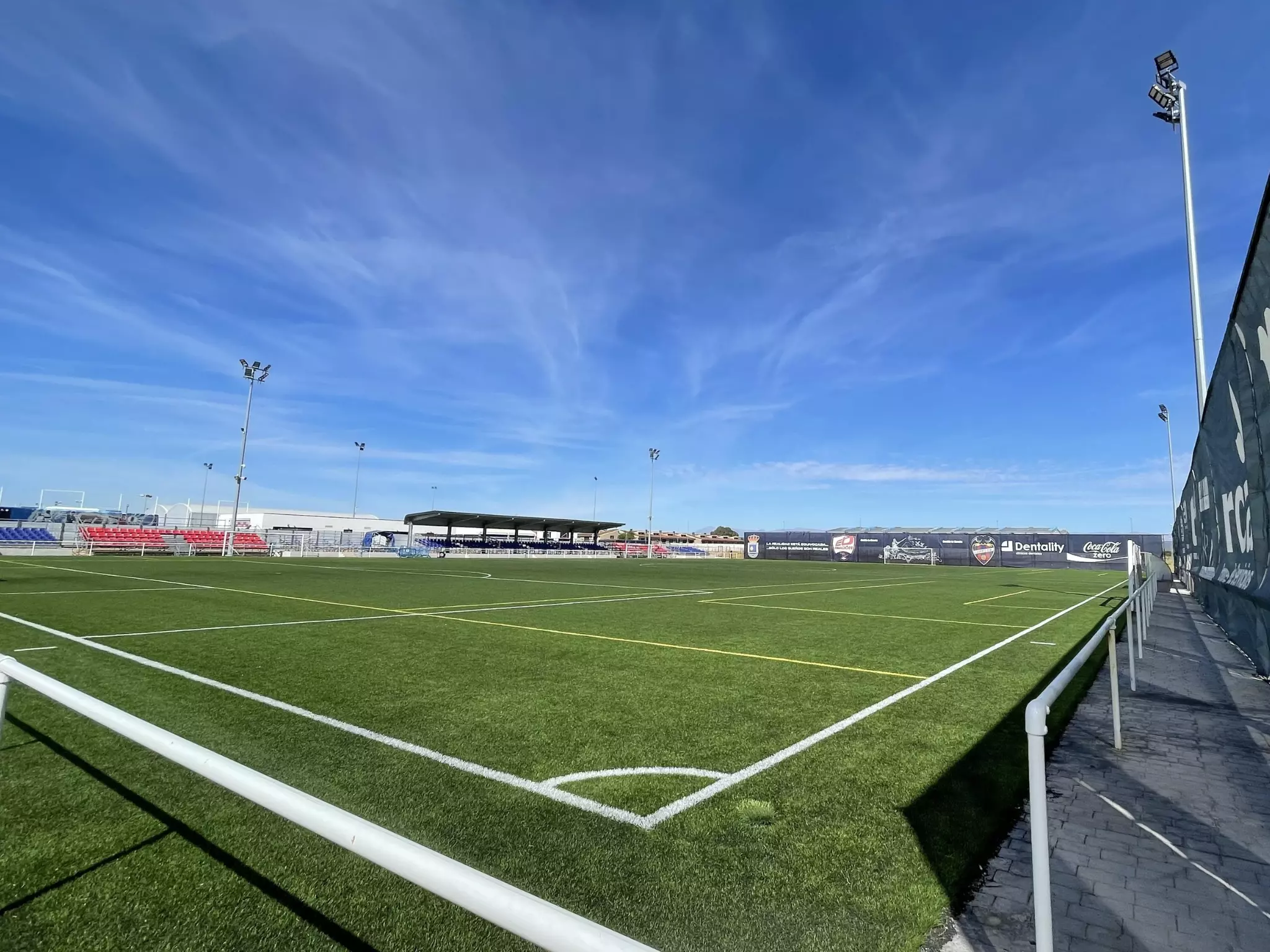 Professional soccer pitch